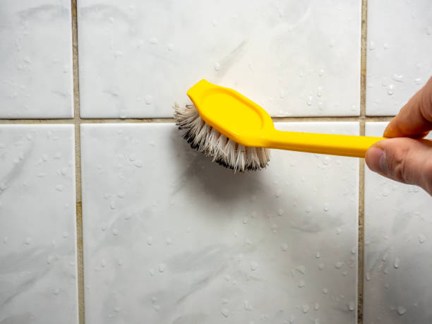 Best Mold Damage Repair  in Butner, NC
